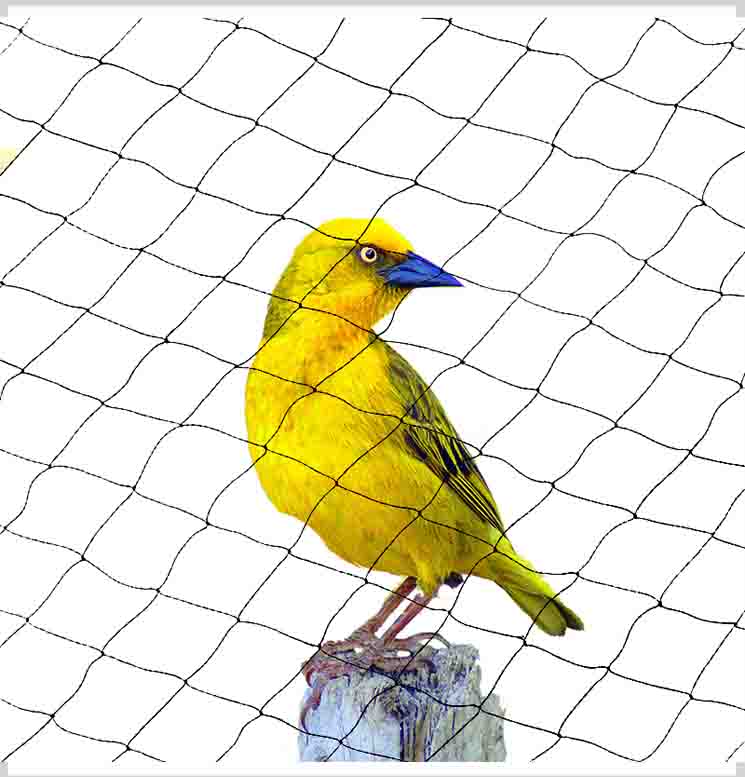 防鳥ネットは再利用またはリサイクルできますか?