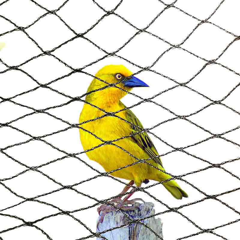 防鳥ネットに適した色は何色ですか?