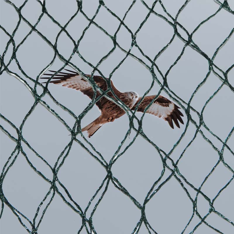 防鳥ネットの素材の選び方とメリット・デメリットは何ですか？