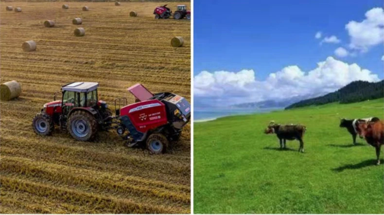 農業活動におけるベールネットラップの応用