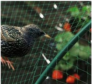 バルコニー用防鳥ネット