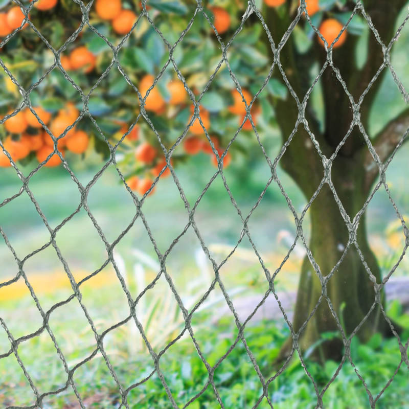 鳥よけネット、動物バリア