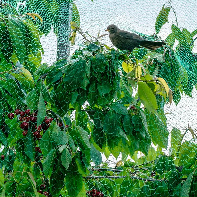 植栽用防鳥ネット