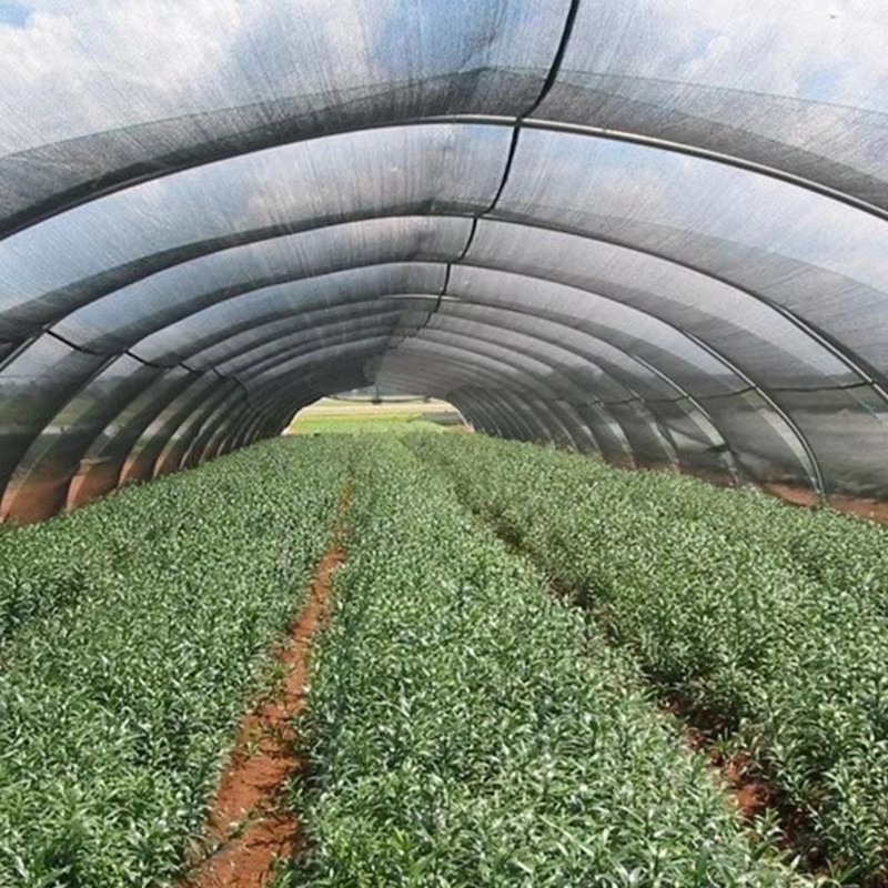 植物用ガーデンシェードクロス 日光を40%遮断